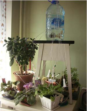 Поливаем растения в отпуске