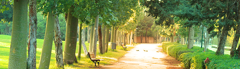 СТИЛЬ ЖИЗНИ